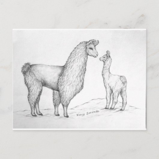 Mama Llama und Cria Postkarte (Vorderseite)
