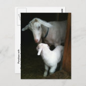 Mama mit Baby-Goat-Postkarte Postkarte (Vorne/Hinten)