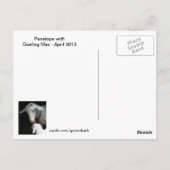 Mama mit Baby-Goat-Postkarte Postkarte (Rückseite)