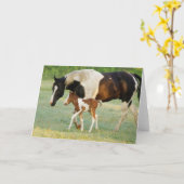 Mama & Paint Filly Karte (Gelbe Blume)