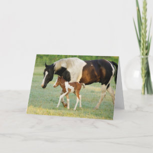 Mama & Paint Filly Karte