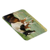 Mama & Paint Filly Magnet (Rechte Seite)