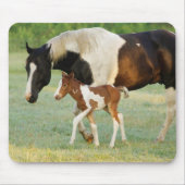 Mama & Paint Filly Mousepad (Vorne)