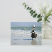 Mama Pelican Postcard Postkarte (Stehend Vorderseite)