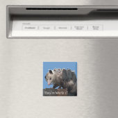 Mama Possum Babies Pro-Life humorvoll Magnet (In Situ (Geschirrspüler))