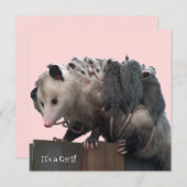 Mama Possum Humous Baby Dusche Einladung (Vorne/Hinten)