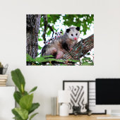 Mama Possum und Babies Poster (Heimbüro)