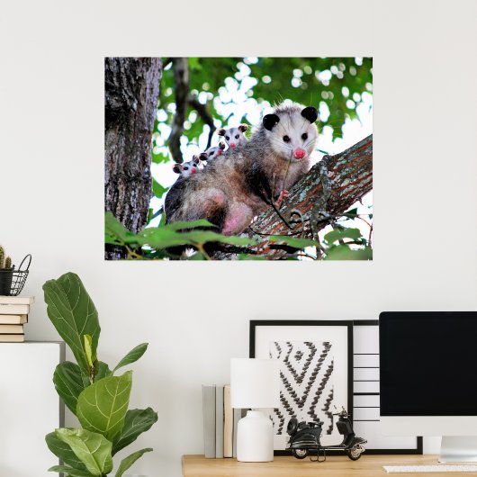 Mama Possum und Babies Poster (Heimbüro)