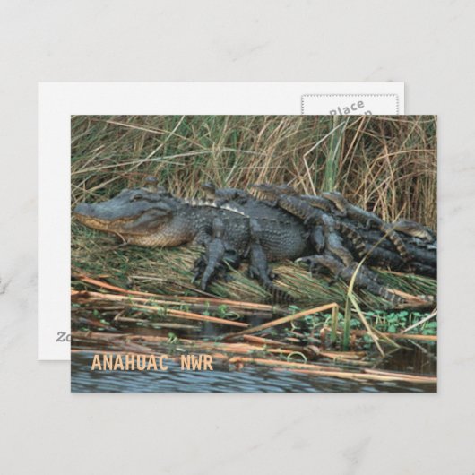 Mama Postkarte (Vorne/Hinten)