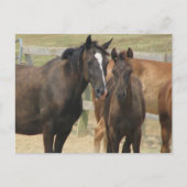 Mama Postkarte (Vorderseite)