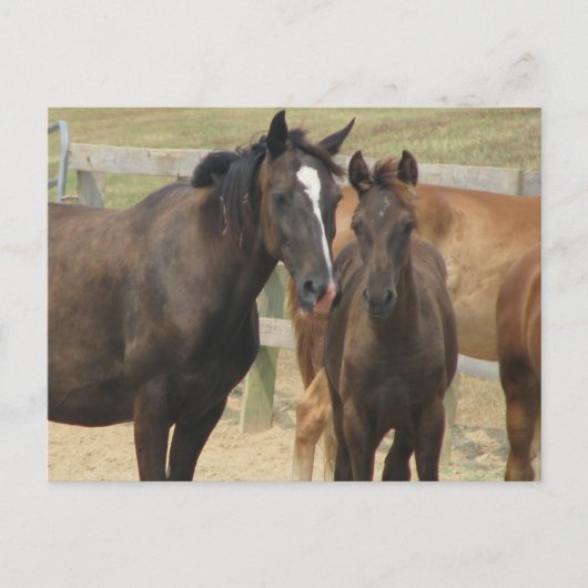 Mama Postkarte (Vorderseite)