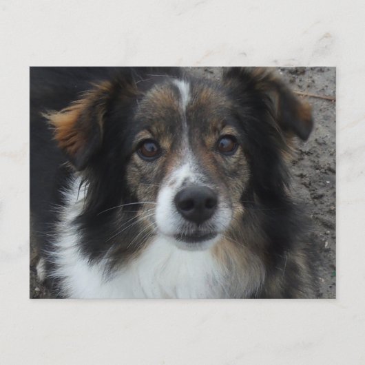 Mama Postkarte (Vorderseite)