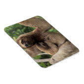 Mama Sloth und Baby Magnet (Rechte Seite)