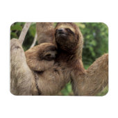 Mama Sloth und Baby Magnet (Horizontal)