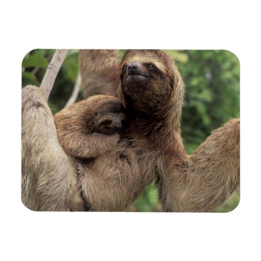 Mama Sloth und Baby Magnet (Horizontal)
