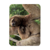 Mama Sloth und Baby Magnet (Vertikal)