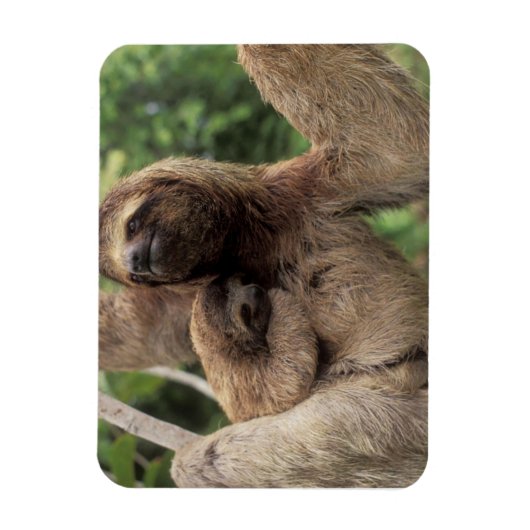 Mama Sloth und Baby Magnet (Vertikal)
