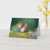 Mama Streifenhörnchen Karte (Gelbe Blume)