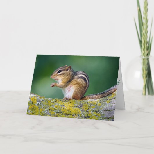 Mama Streifenhörnchen Karte (Vorderseite)