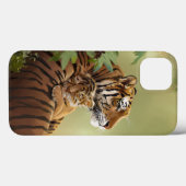 Mama-Tiger und Baby-Tiger, der schläft Case-Mate iPhone Hülle (Rückseite (Horizontal))