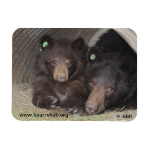 Mama-u. Junges 2013 Prämie Flexi Magnet