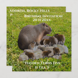 Mama und Baby Capybaras, Einladung zum Geburtstag