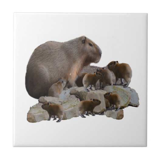 Mama und Baby Capybaras, Fliese (Vorderseite)