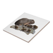 Mama und Baby Capybaras, Fliese (Seite)