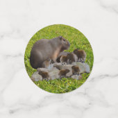 Mama und Baby Capybaras, Konfetti (Klein Vorderseite)