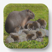 Mama und Baby Capybaras, Pappteller (Vorderseite)