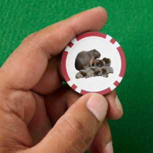 Mama und Baby Capybaras, Pokerchips