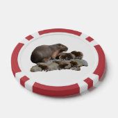 Mama und Baby Capybaras, Pokerchips (Einzeln)