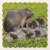 Mama und Baby Capybaras, Untersetzer (Vorderseite)