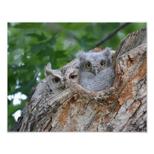 Mama und Baby Fotodruck (Vorne)