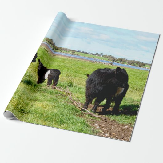 Mama- und Baby-Galloway-Kuh, Geschenkcreme Geschenkpapier (Ungerollt)