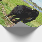 Mama- und Baby-Galloway-Kuh, Geschenkcreme Geschenkpapier (Ecke)