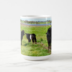 Mama- und Baby-Galloway-Kuh, Kaffee-Tasse Kaffeetasse