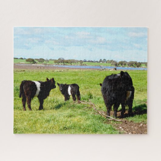 Mama und Baby Galloway Kühe, Puzzle (Horizontal)