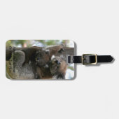 Mama und Baby Koala Gepäckanhänger (Vorderseite horizontal)