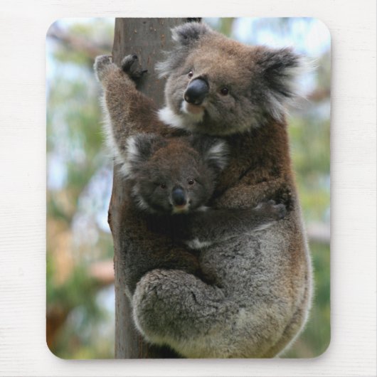 Mama und Baby Koala Mousepad (Vorne)