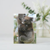 Mama und Baby Koala Postkarte (Stehend Vorderseite)