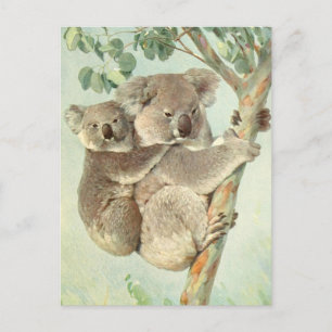 Mama und Baby Koala Vintage Postkarte