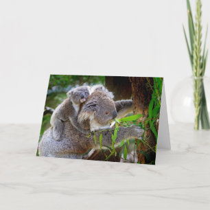 Mama und Baby Koalas Karte