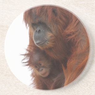 Mama und Baby Orangutan Getränkeuntersetzer