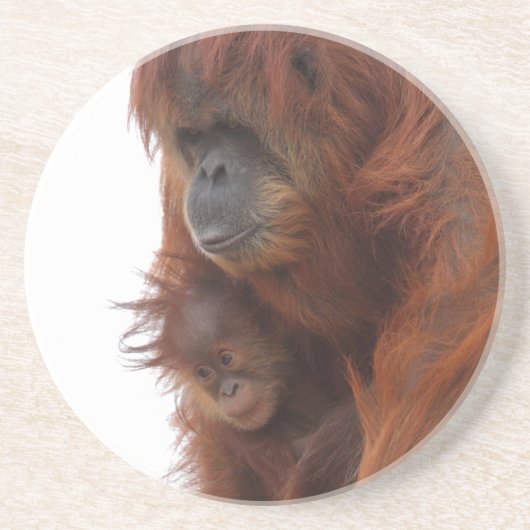 Mama und Baby Orangutan Getränkeuntersetzer (Vorne)