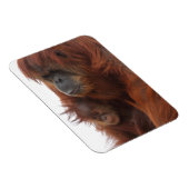 Mama und Baby Orangutan Magnet (Rechte Seite)