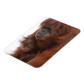 Mama und Baby Orangutan Magnet (Linke Seite)