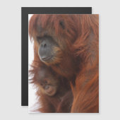 Mama und Baby Orangutan Magnetkarte (Vorne/Hinten)