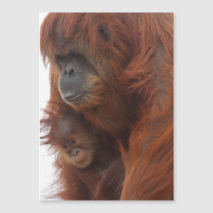 Mama und Baby Orangutan Magnetkarte