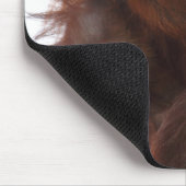 Mama und Baby Orangutan Mousepad (Ecke)